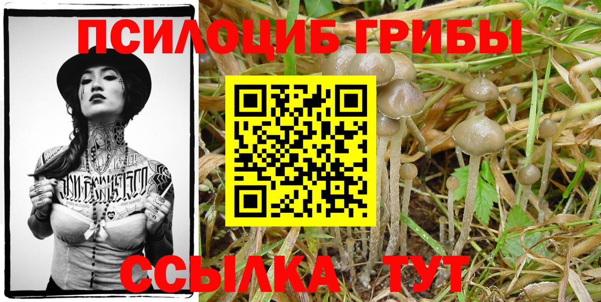 Псилоцибиновые грибы MAGIC MUSHROOMS  Псилоцибиновые грибы прущие грибы  Борисоглебск  Вход с VPN 